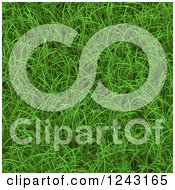 Poster, Art Print Of 3d Green Grass Seamless Texture Background