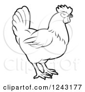 Poster, Art Print Of Black And White Chicken In Profile