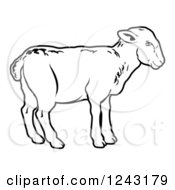 Poster, Art Print Of Black And White Lamb In Profile