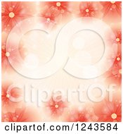 Poster, Art Print Of Red And Orange Flower Background With Rays And Text Space
