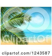 Poster, Art Print Of Tropical Beach With White Sand And A Palm Tree Branch