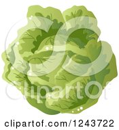 Clipart Of A Cabbage Royalty Free Vector Illustration