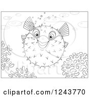 Poster, Art Print Of Black And White Puffer Fish Over Corals