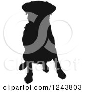 Black Silhouetted Labrador Retriever Dog Sitting