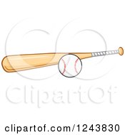 Wooden Baseball Bat And Ball