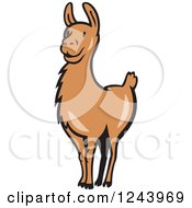 Poster, Art Print Of Brown Alert Llama