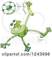 Poster, Art Print Of Soccer Football Frog Kicking