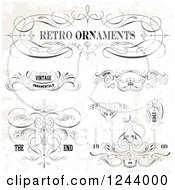Poster, Art Print Of Retro Ornaments Designs With Sample Text On A Distressed Background