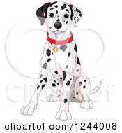 Poster, Art Print Of Cute Happy Dalmatian Dog Sitting