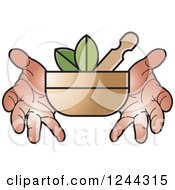 Hands Holding A Mortar And Pestle With Leaves