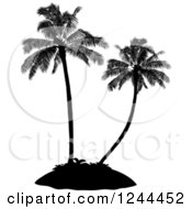 Poster, Art Print Of Black Silhouetted Palm Trees On An Island