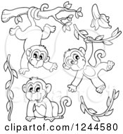 Poster, Art Print Of Black And White Playful Monkeys And Vines