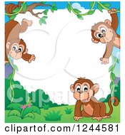 Poster, Art Print Of Border Of Playful Monkeys And White Text Space