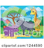 Poster, Art Print Of Happy African Bull Giraffe Crocodile Hippo And Parrot At A Watering Hole