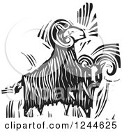 Poster, Art Print Of Black And White Woodcut Ram Goats