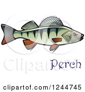 Poster, Art Print Of Perch Fish With Text