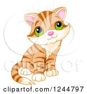 Poster, Art Print Of Cute Ginger Tabby Cat Kitten Sitting And Looking Up