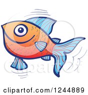 Happy Jumping Blue And Orange Fish