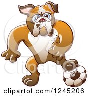 Poster, Art Print Of Soccer Bulldog Resting A Foot On A Ball