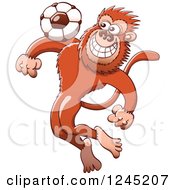 Poster, Art Print Of Soccer Monkey Tapping A Football On His Chest