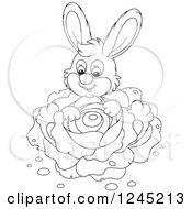 Poster, Art Print Of Black And White Happy Bunny Rabbit Sitting With Cabbage In A Garden