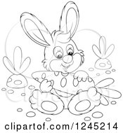 Poster, Art Print Of Black And White Happy Bunny Rabbit Sitting With A Carrot In A Garden