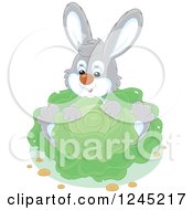 Poster, Art Print Of Happy Gray Rabbit Sitting With Cabbage In A Garden