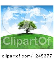 Poster, Art Print Of 3d Mature Tree Atop A Grassy Hill Against A Cloudy Sky