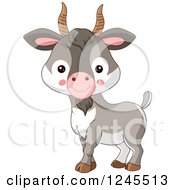 Poster, Art Print Of Cute Baby Farm Goat