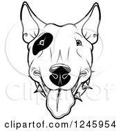 Poster, Art Print Of Black And White Bull Terrier Dog Face