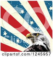 Poster, Art Print Of Bald Eagle And Distressed American Stars And Stripes