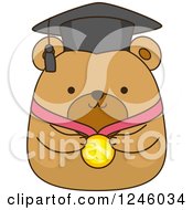 Poster, Art Print Of Brown Bear Graduate With A Medal