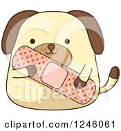 Poster, Art Print Of Dog Holding A Giant Bandage