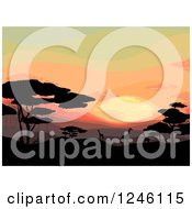 Poster, Art Print Of Safari Sunset With Silhouetted Giraffes And Trees