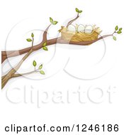 Poster, Art Print Of Bird Nest With Eggs On A Tree Branch