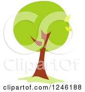 Poster, Art Print Of Tree With Green Foliage