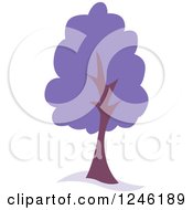 Poster, Art Print Of Tree With Purple Foliage