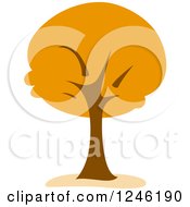 Poster, Art Print Of Tree With Orange Foliage
