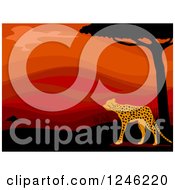 Poster, Art Print Of African Cheetah And Red Sunset