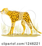 Poster, Art Print Of African Cheetah