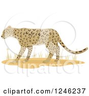 Poster, Art Print Of Leopard Big Cat And Grasses