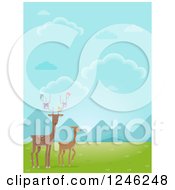 Poster, Art Print Of Deer With Birds In A Valley