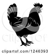 Clipart Of A Black And White Chicken In Profile Royalty Free Vector Illustration