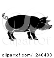 Clipart Of A Black Pig In Profile Royalty Free Vector Illustration