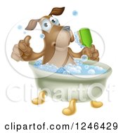 Poster, Art Print Of Pleased Brown Dog Bathing And Holding A Thumb Up