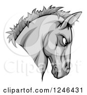 Poster, Art Print Of Gray Aggressive Horse Mascot Head