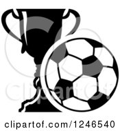 Poster, Art Print Of Black And White Soccer Ball And Trophy Cup