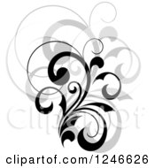 Clipart Of A Black Flourish With A Shadow 17 Royalty Free Vector Illustration