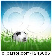 Poster, Art Print Of 3d Soccer Ball In Grass Under Sunshine