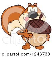 Hungry Squirrel Licking His Lips And Holding A Giant Acorn